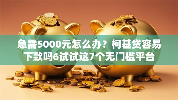 急需5000元怎么办?柯基贷容易下款吗6试试这7个无门槛平台 急需5000元怎么办?柯基贷容易下款吗6试试这7个无门槛平台