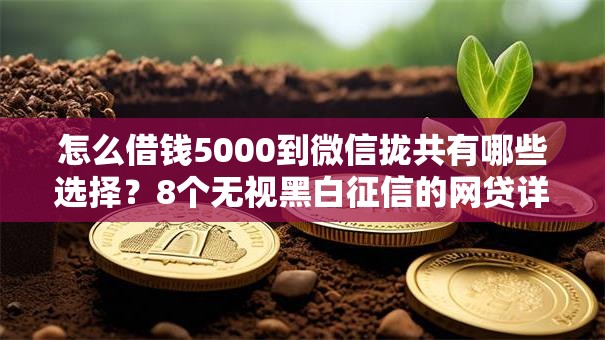 怎么借钱5000到微信拢共有哪些选择？8个无视黑白征信的网贷详解