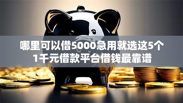 哪里可以借5000急用就选这5个1千元借款平台借钱最靠谱