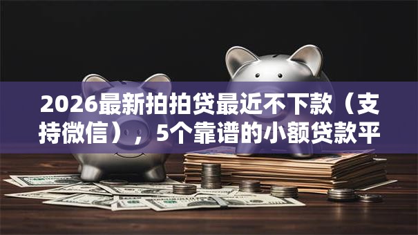 2026最新拍拍贷最近不下款（支持微信），5个靠谱的小额贷款平台无私分享