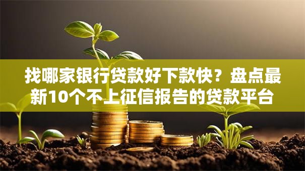 找哪家银行贷款好下款快?盘点最新10个不上征信报告的贷款平台 找哪家银行贷款好下款快?盘点最新10个不上征信报告的贷款平台