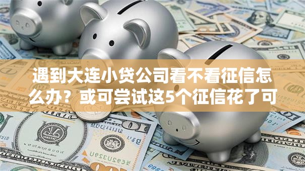 遇到大连小贷公司看不看征信怎么办？或可尝试这5个征信花了可以用的借款平台
