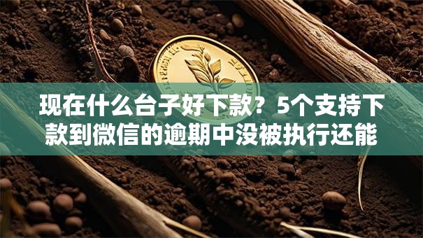 现在什么台子好下款?5个支持下款到微信的逾期中没被执行还能在平台借钱 现在什么台子好下款?5个支持下款到微信的逾期中没被执行还能在平台借钱