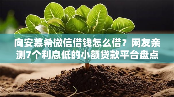 向安慕希微信借钱怎么借？网友亲测7个利息低的小额贷款平台盘点