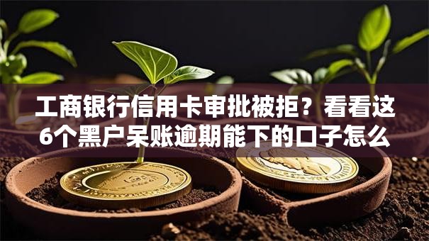 工商银行信用卡审批被拒？看看这6个黑户呆账逾期能下的口子怎么样