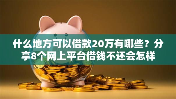 什么地方可以借款20万有哪些？分享8个网上平台借钱不还会怎样