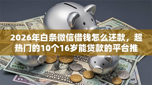 2026年白条微信借钱怎么还款,超热门的10个16岁能贷款的平台推荐 2026年白条微信借钱怎么还款,超热门的10个16岁能贷款的平台推荐