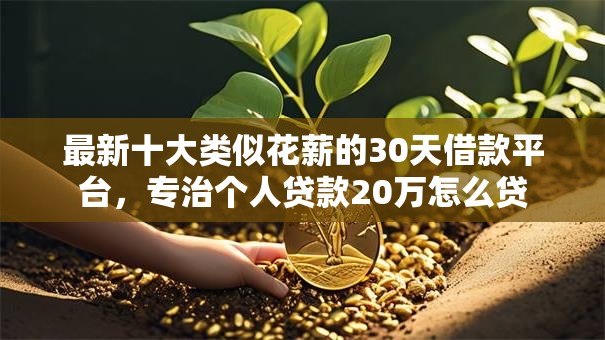 最新十大类似花薪的30天借款平台，专治个人贷款20万怎么贷