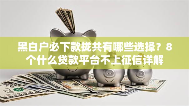 黑白户必下款拢共有哪些选择？8个什么贷款平台不上征信详解