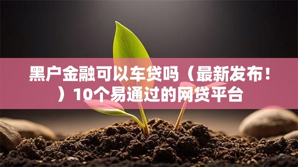 黑户金融可以车贷吗（最新发布！）10个易通过的网贷平台