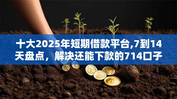 十大2025年短期借款平台,7到14天盘点，解决还能下款的714口子的问题
