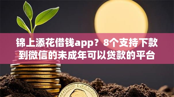 锦上添花借钱app？8个支持下款到微信的未成年可以贷款的平台