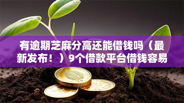 有逾期芝麻分高还能借钱吗（最新发布！）9个借款平台借钱容易