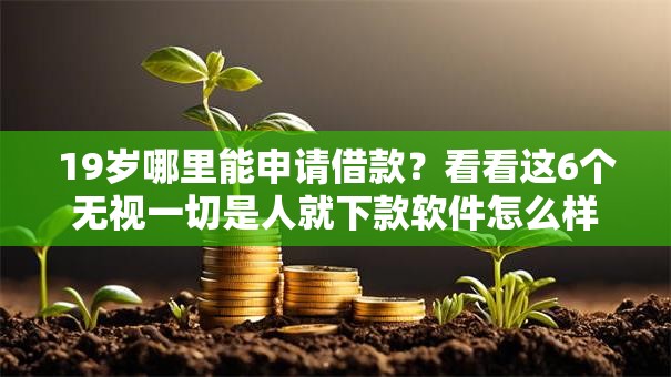 19岁哪里能申请借款？看看这6个无视一切是人就下款软件怎么样