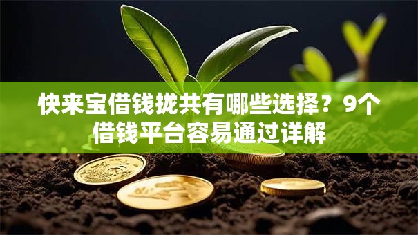 快来宝借钱拢共有哪些选择？9个借钱平台容易通过详解