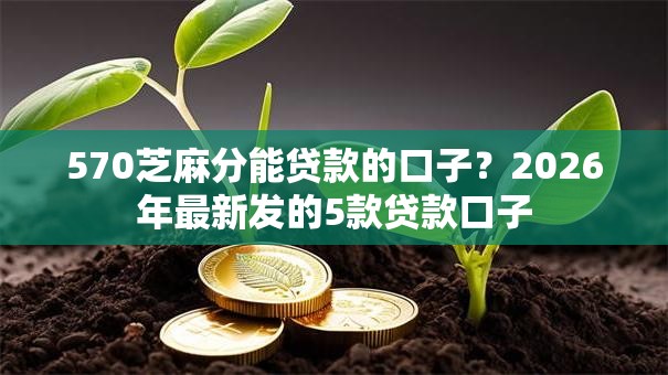 570芝麻分能贷款的口子？2026年最新发的5款贷款口子