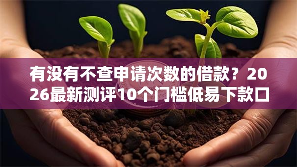 有没有不查申请次数的借款？2026最新测评10个门槛低易下款口子