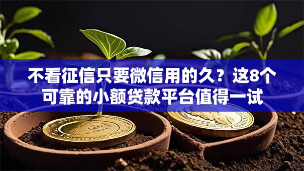 不看征信只要微信用的久？这8个可靠的小额贷款平台值得一试