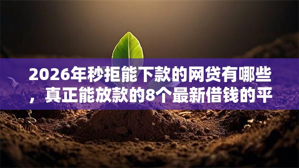 2026年秒拒能下款的网贷有哪些,真正能放款的8个最新借钱的平台100%能借到推荐 2026年秒拒能下款的网贷有哪些,真正能放款的8个最新借钱的平台100%能借到推荐