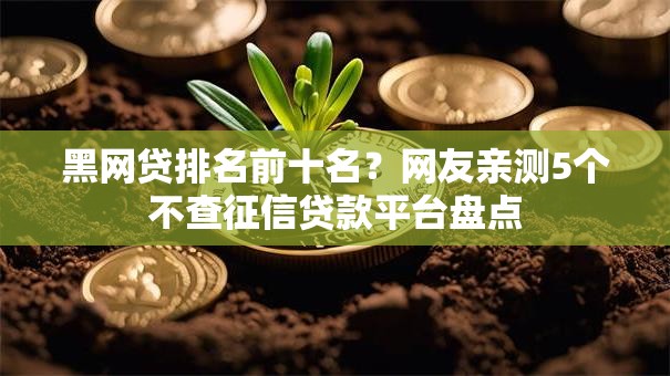 黑网贷排名前十名?网友亲测5个不查征信贷款平台盘点 黑网贷排名前十名?网友亲测5个不查征信贷款平台盘点