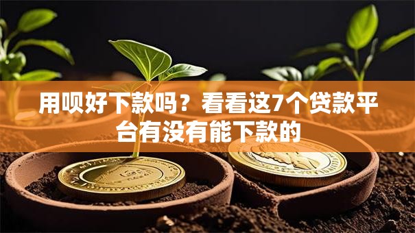 用呗好下款吗？看看这7个贷款平台有没有能下款的