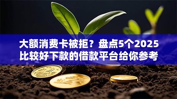 大额消费卡被拒？盘点5个2025比较好下款的借款平台给你参考