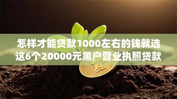 怎样才能贷款1000左右的钱就选这6个20000元黑户营业执照贷款app口子
