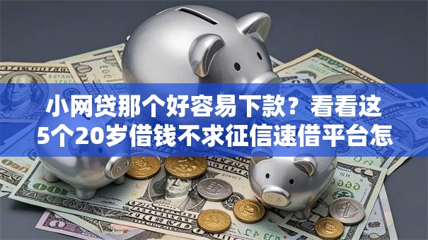 小网贷那个好容易下款？看看这5个20岁借钱不求征信速借平台怎么样