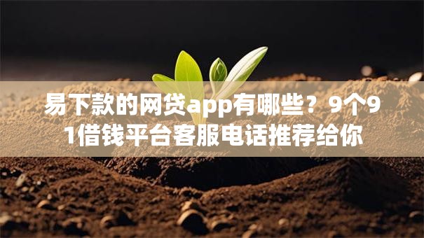 易下款的网贷app有哪些？9个91借钱平台客服电话推荐给你