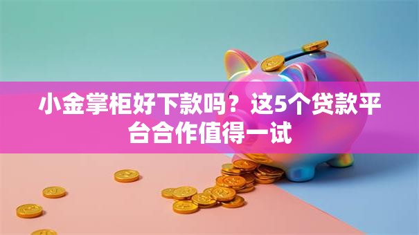 小金掌柜好下款吗？这5个贷款平台合作值得一试