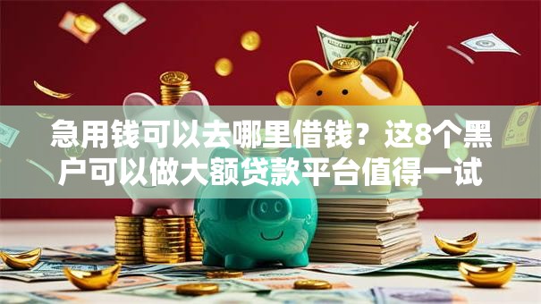 急用钱可以去哪里借钱？这8个黑户可以做大额贷款平台值得一试