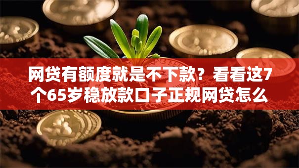 网贷有额度就是不下款?看看这7个65岁稳放款口子正规网贷怎么样 网贷有额度就是不下款?看看这7个65岁稳放款口子正规网贷怎么样