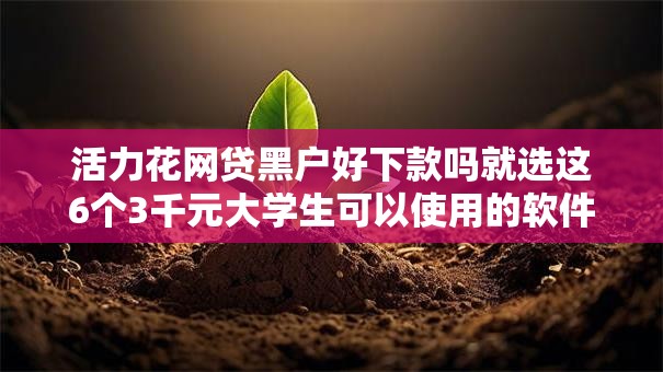活力花网贷黑户好下款吗就选这6个3千元大学生可以使用的软件
