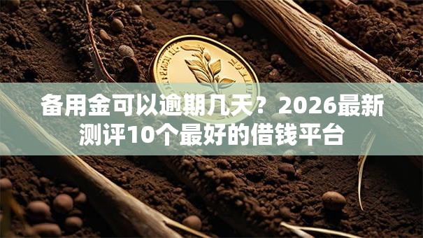 备用金可以逾期几天？2026最新测评10个最好的借钱平台