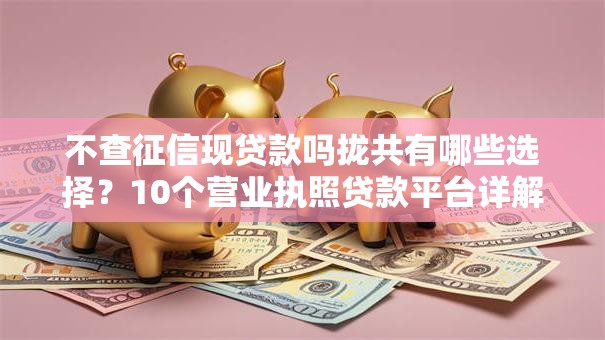不查征信现贷款吗拢共有哪些选择？10个营业执照贷款平台详解