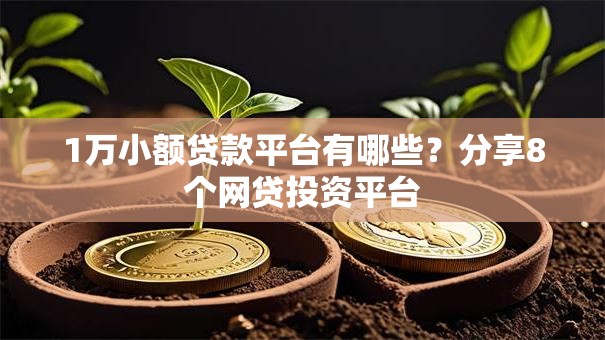 1万小额贷款平台有哪些？分享8个网贷投资平台