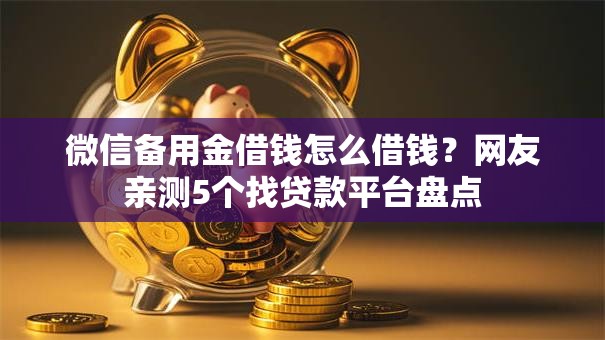 微信备用金借钱怎么借钱？网友亲测5个找贷款平台盘点