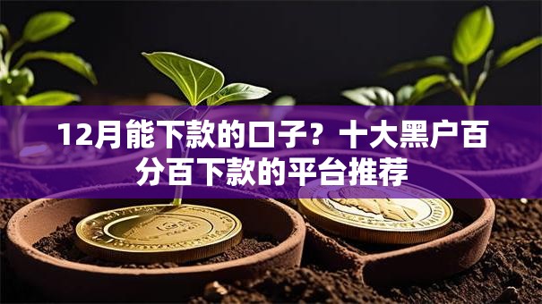 12月能下款的口子?十大黑户百分百下款的平台推荐 12月能下款的口子?十大黑户百分百下款的平台推荐
