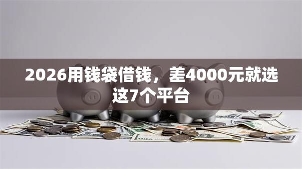 2026用钱袋借钱，差4000元就选这7个平台