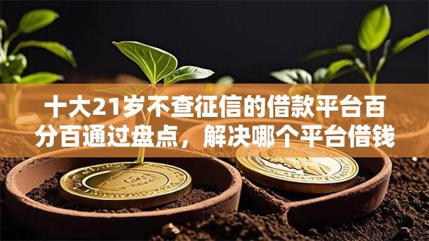 十大21岁不查征信的借款平台百分百通过盘点，解决哪个平台借钱容易通过利息低的借款的问题