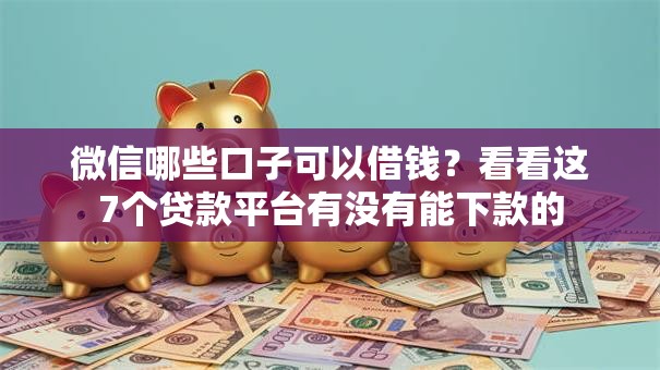 微信哪些口子可以借钱？看看这7个贷款平台有没有能下款的
