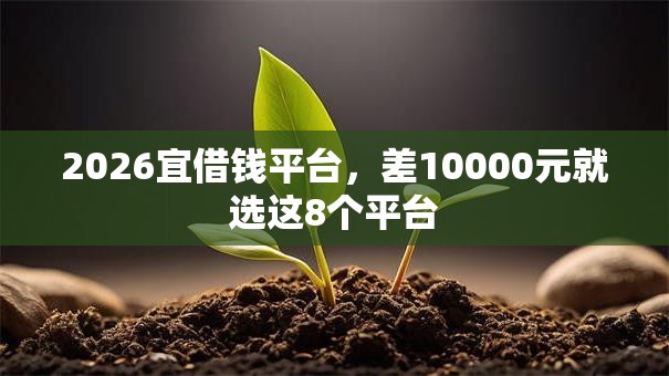 2026宜借钱平台，差10000元就选这8个平台