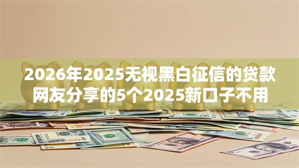 2026年2025无视黑白征信的贷款网友分享的5个2025新口子不用审核的方法我觉得不错！