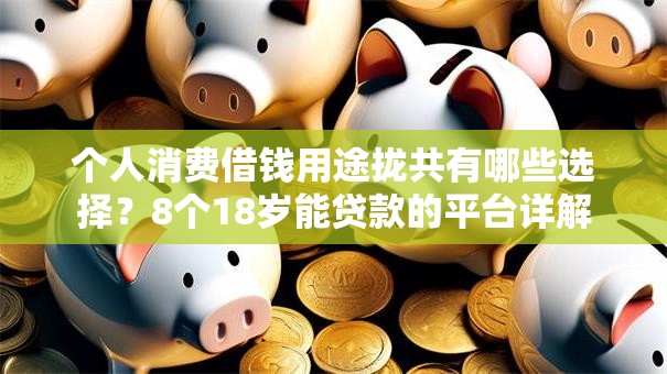 个人消费借钱用途拢共有哪些选择？8个18岁能贷款的平台详解