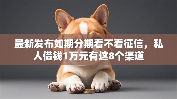 最新发布如期分期看不看征信，私人借钱1万元有这8个渠道