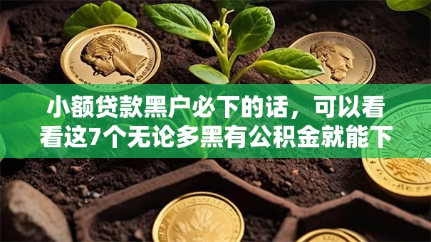 小额贷款黑户必下的话，可以看看这7个无论多黑有公积金就能下款