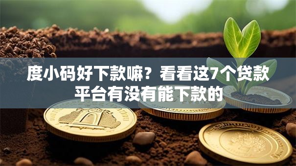 度小码好下款嘛？看看这7个贷款平台有没有能下款的