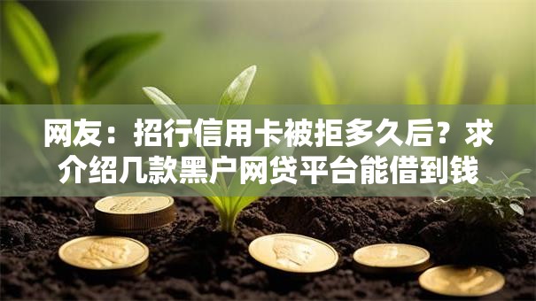 网友：招行信用卡被拒多久后？求介绍几款黑户网贷平台能借到钱啊急用