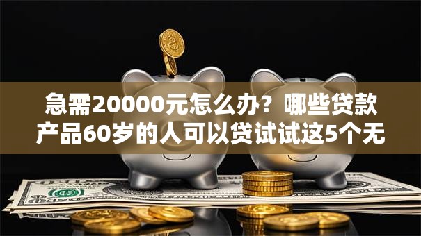 急需20000元怎么办？哪些贷款产品60岁的人可以贷试试这5个无门槛平台