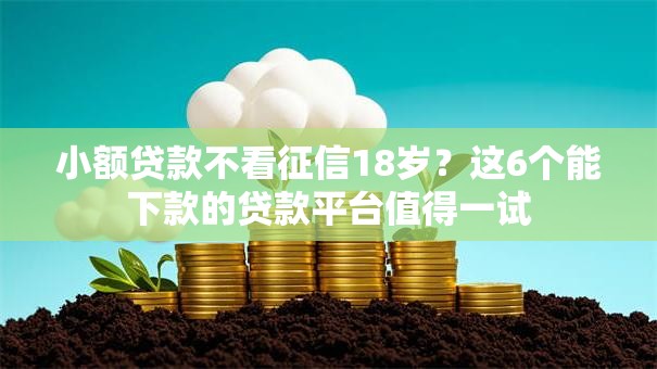 小额贷款不看征信18岁？这6个能下款的贷款平台值得一试